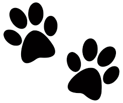 PAW